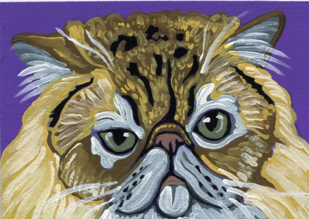 Brown Persian Cat ACEO ATC Original Pet Art by C. Smale