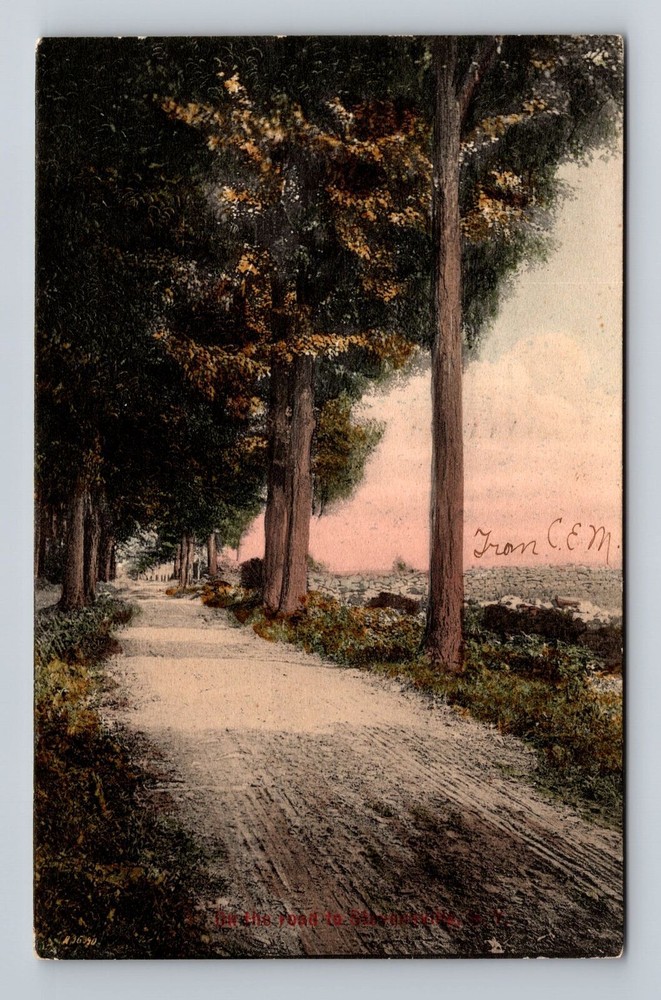 NY-New York, Scenic View Dirt Road, Antique Souvenir Vintage c1907 Postcard