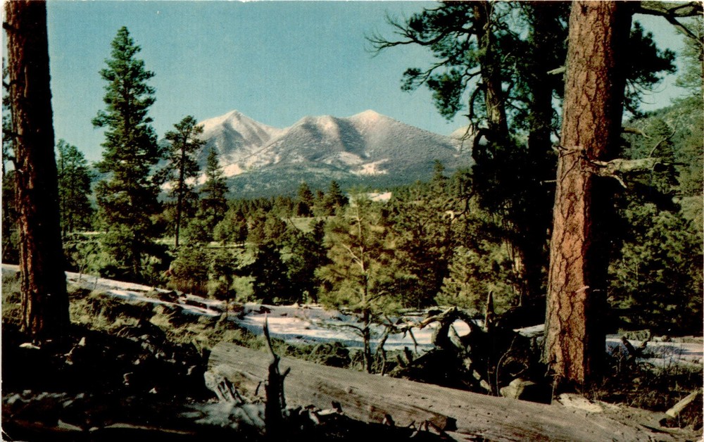 San Francisco Peaks, Flagstaff, Arizona, Arizona Snow Bowl, H. S. Postcard