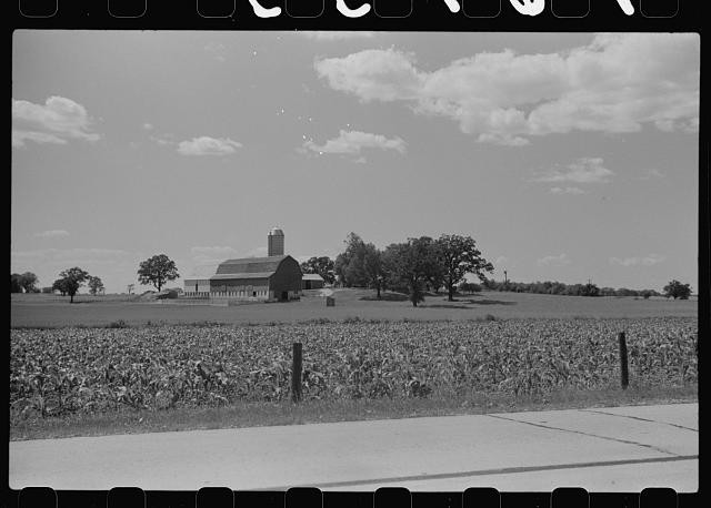 Dodge County Wisconsin 1941 Corn and Dairy Farm Barn Field Rural Scene