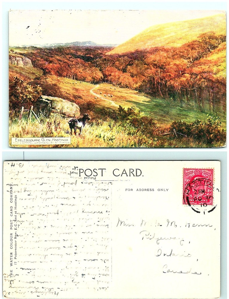 S03-4846, Ecclesbourne Glen, Hastings, Uk 1910 To Canada, Postcard