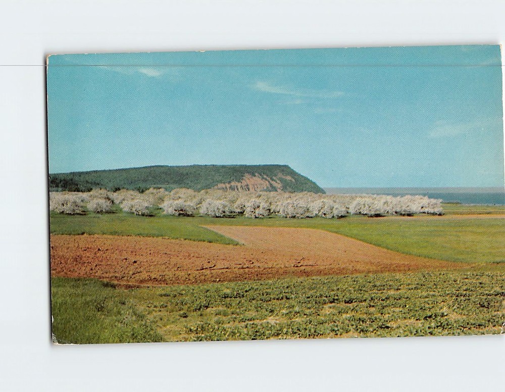 Postcard Cape Blomidon Nova Scotia Canada