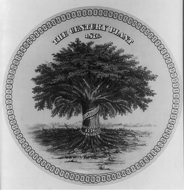 Photo:The century plant 1876,Constitution,tree,Declaration of Independence