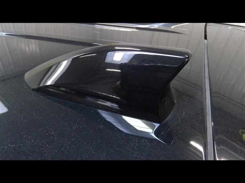 EQUINOX   2019 Antenna 337894