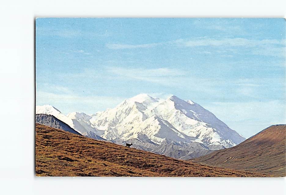 Postcard Mighty Mac Mount Mt. McKinley Caribou Alaska USA Mal Lockwood Color