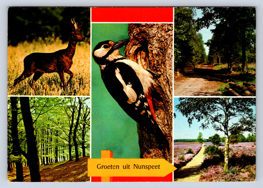 Vintage Postcard Groeten uit Nunspeet