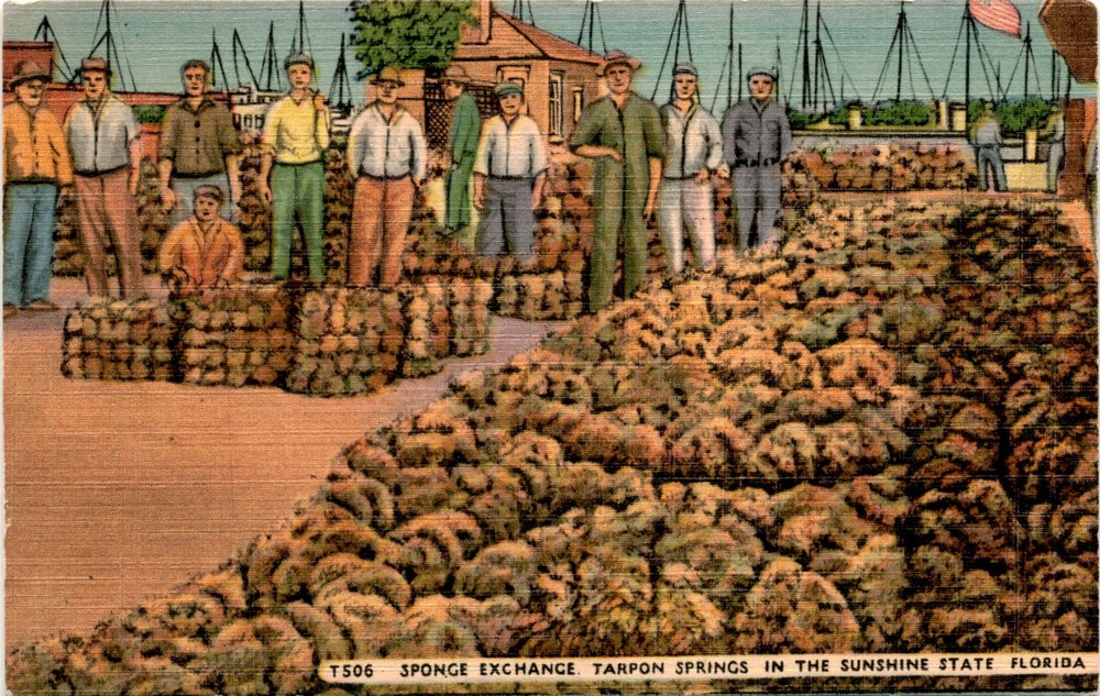 TARPON SPRINGS, SUNSHINE STATE, FLORIDA, HARTMAN CARD CO Postcard