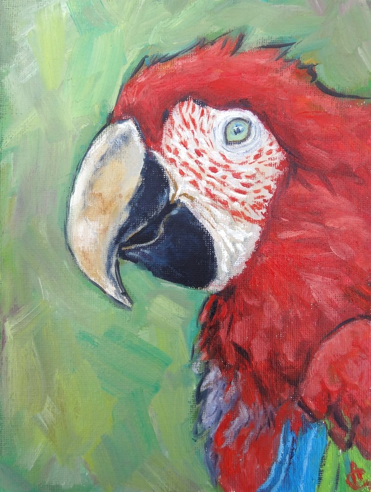 Parrot Painting Bird Original Art 6 by 8 Red Macaw Wall Art
