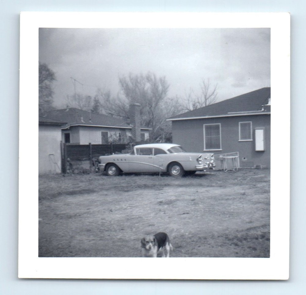 Old Vintage Square Photo CLASSIC CAR 1955 BUICK SPECIAL RIVIERA BEAGLE DOG
