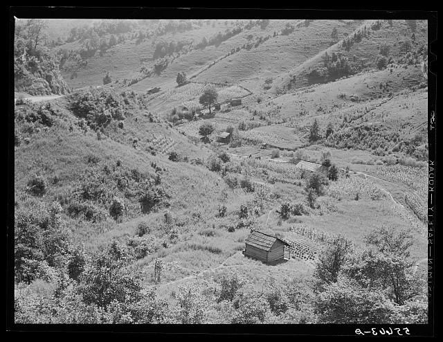 Photo:Hyden Kentucky 1940 Mountain Farms Gardens Tobacco Corn Homes