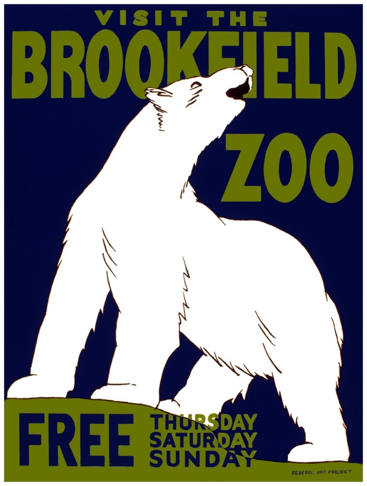 7573.Decoration Poster.Home Room wall art design.Brookfield Zoo.Polar bear decor