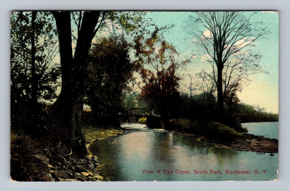Rochester NY-New York Red Creek South Park Vintage c1909 Postcard Standard Card