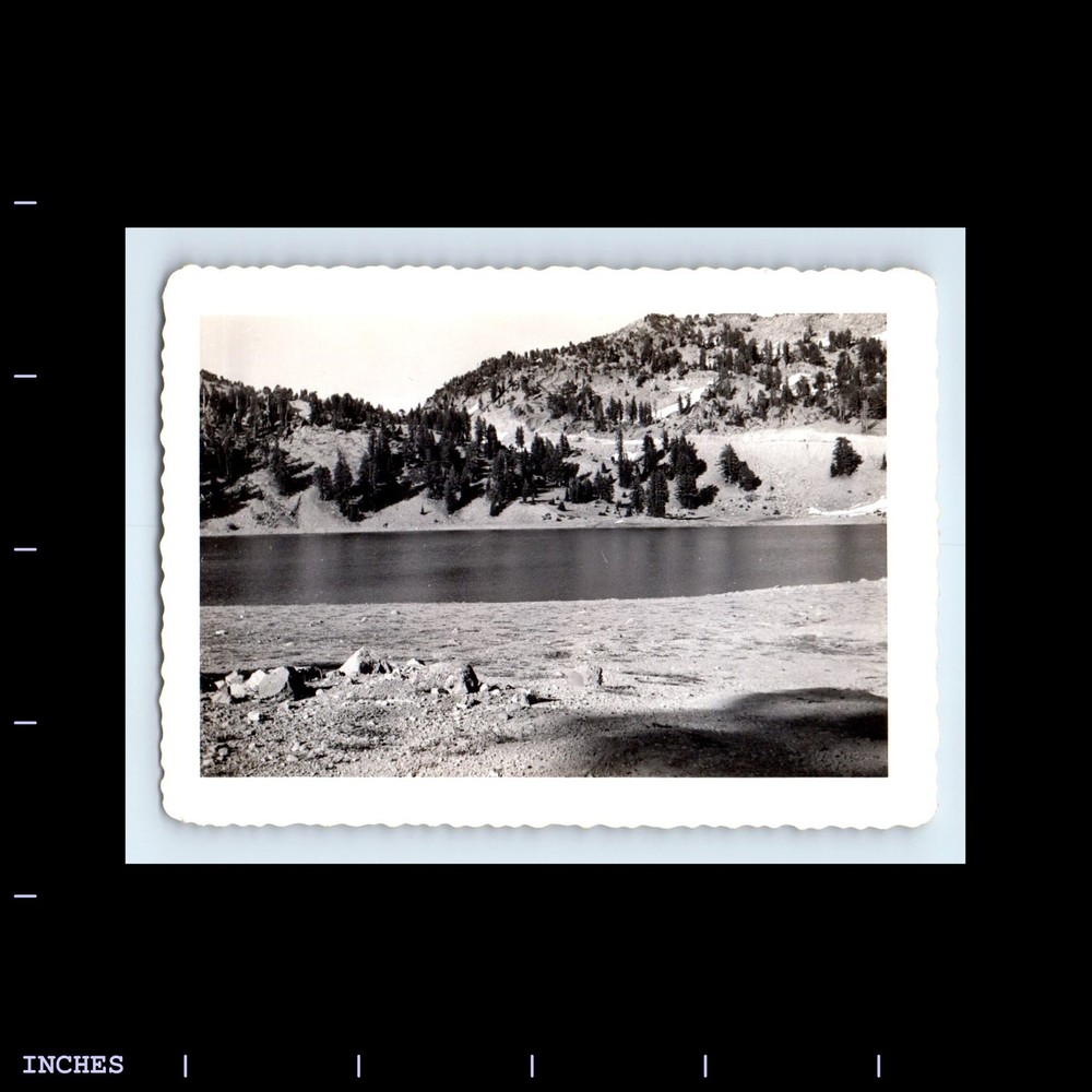 Old Vintage Photo MOUNTAIN LANDSCAPE FOREST TREES LAKE