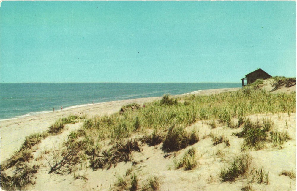 Massachusetts Cape Cod Beach Picturesque View of the Beach Vintage Postcard