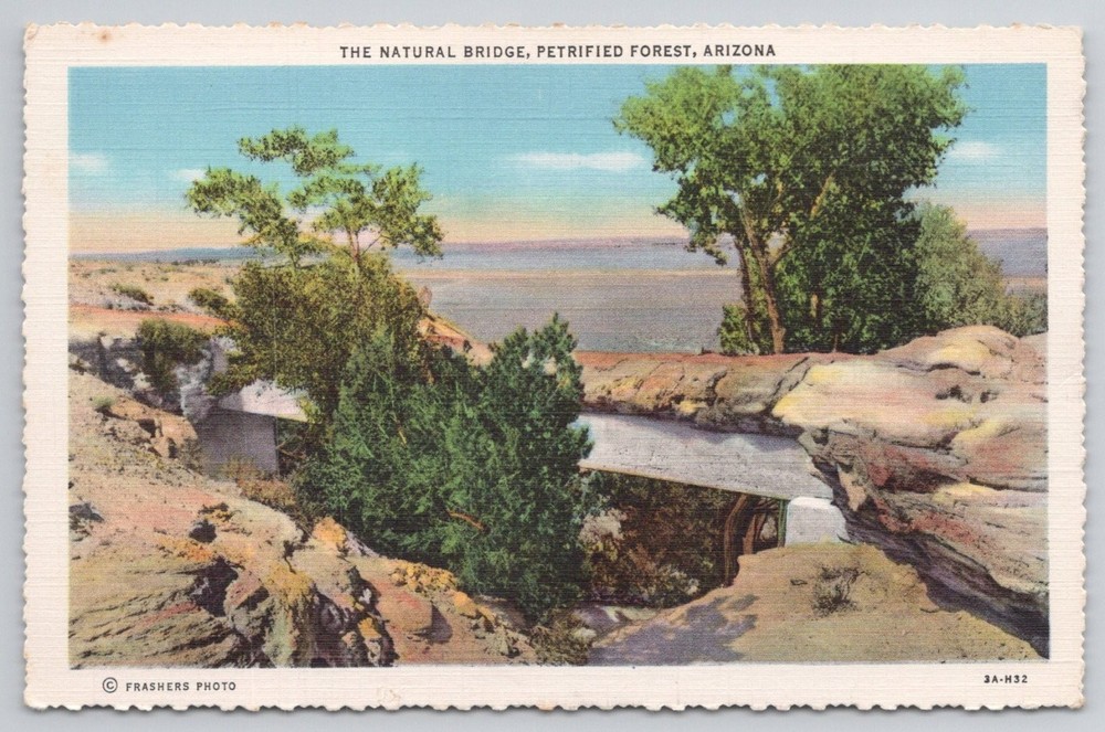 Natural Bridge Petrified Forest Arizona Frashers Photo Vintage Postcard