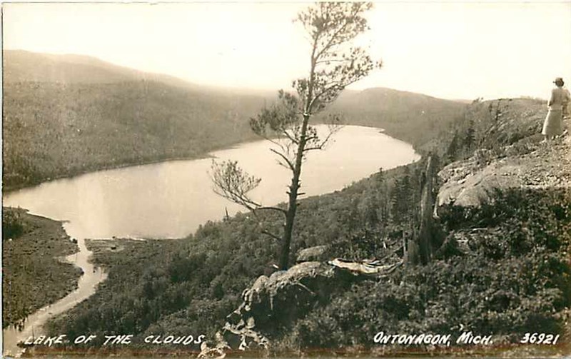 MI, Ontonagon, Michigan, Lake of the Clouds, RPPC, L.L. Cook No. 36921