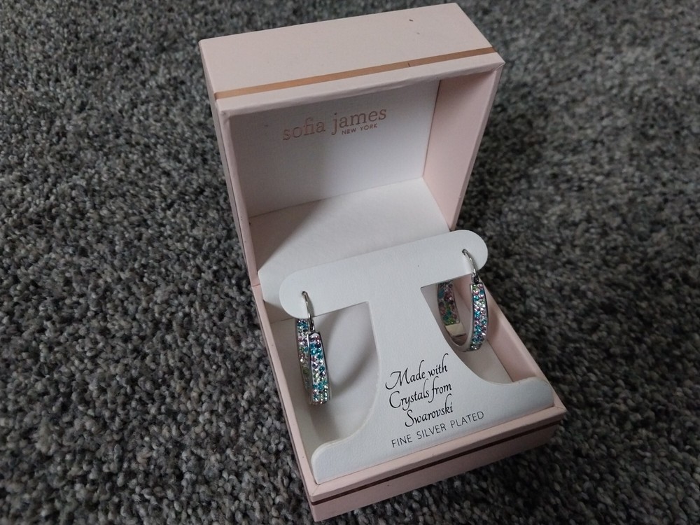 Sofia James Swarovski Crystal Silver Plated Hoop Earrings Luxury New