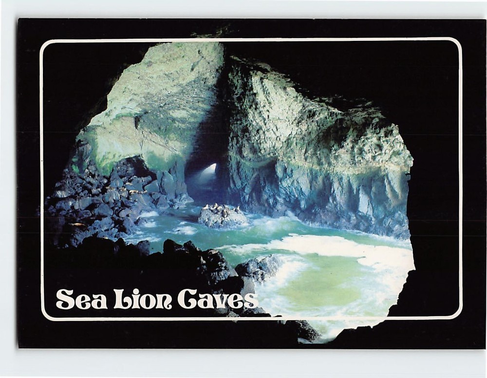Postcard Sea Lion Caves Oregon Coast Oregon USA