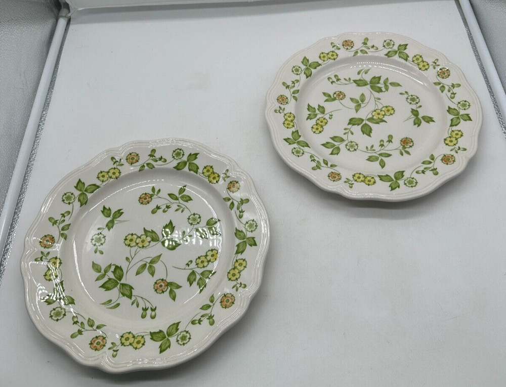 Vintage Sears Petite Flora Ironstone Dinner Plates Plate 10 5/8 Floral Japan EUC