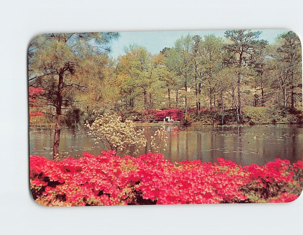 Postcard Municipal Gardens Norfolk Virginia USA