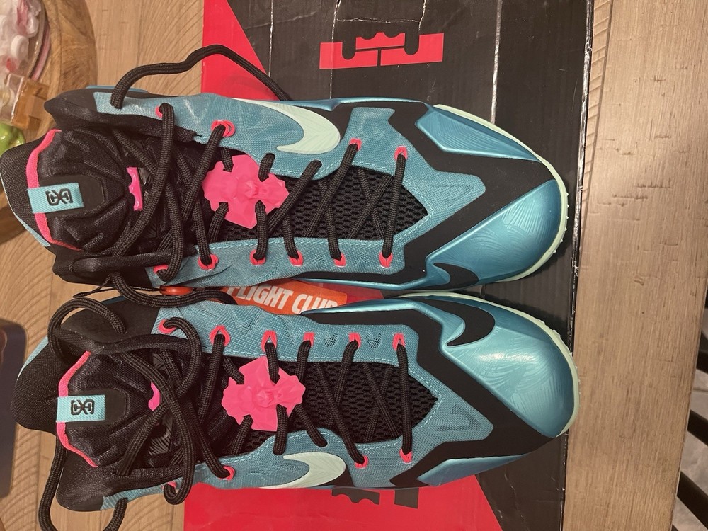 Nike LeBron 11 South Beach Size 10