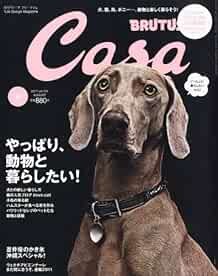Used Casa BRUTUS August 2011 Life Design Magazine ese Book book form JP