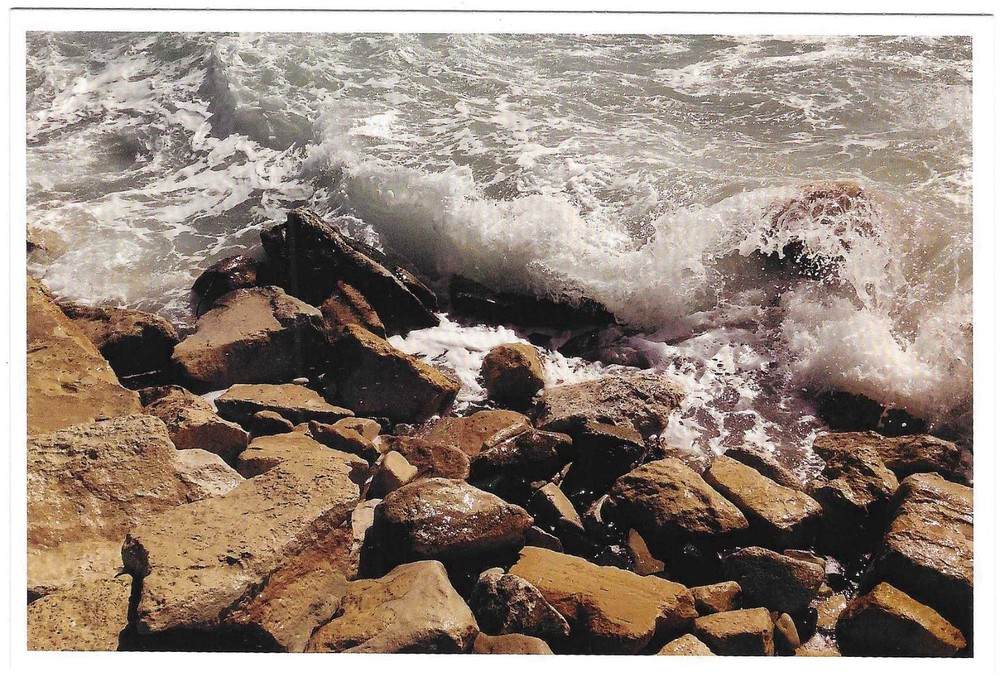 NEW Nautical Seaside Beach Ocean Coastal Themed Postcard