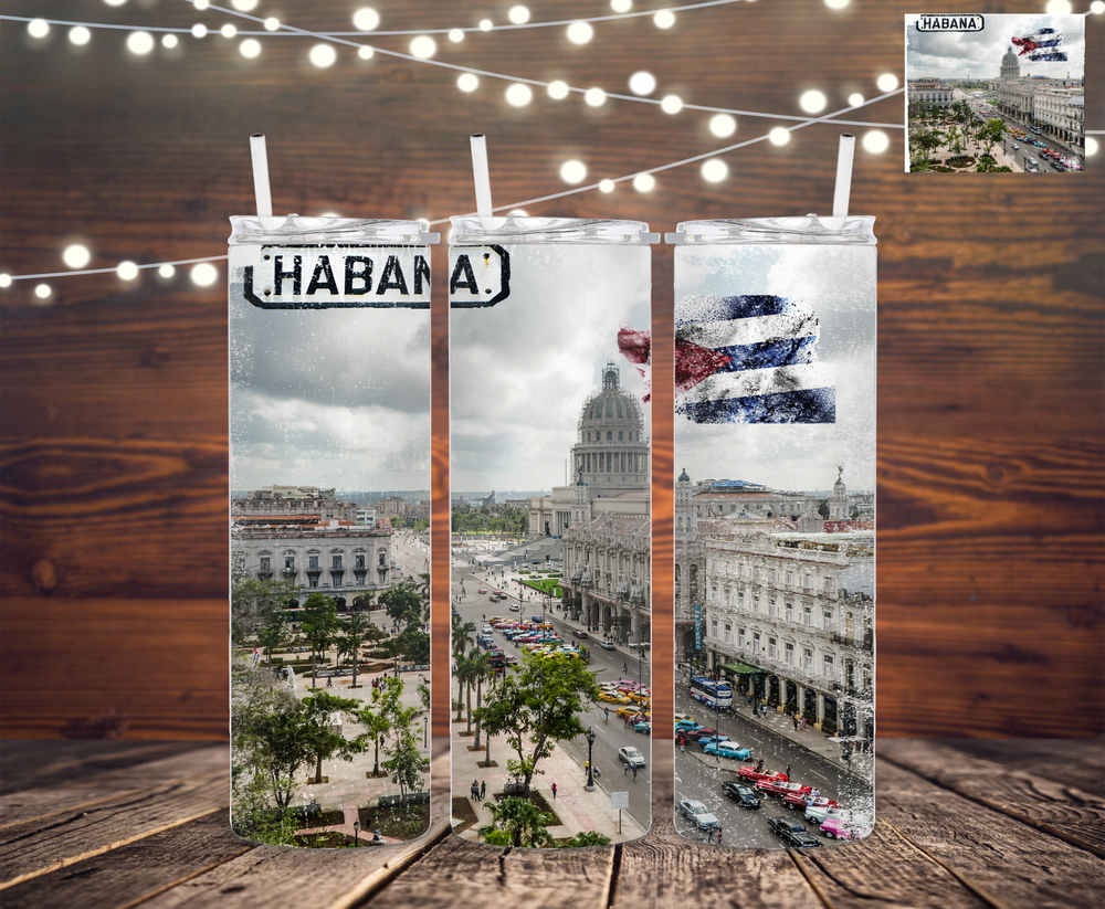 Customizable Old Habana 20oz Skinny Tumbler with Straw Sublimation