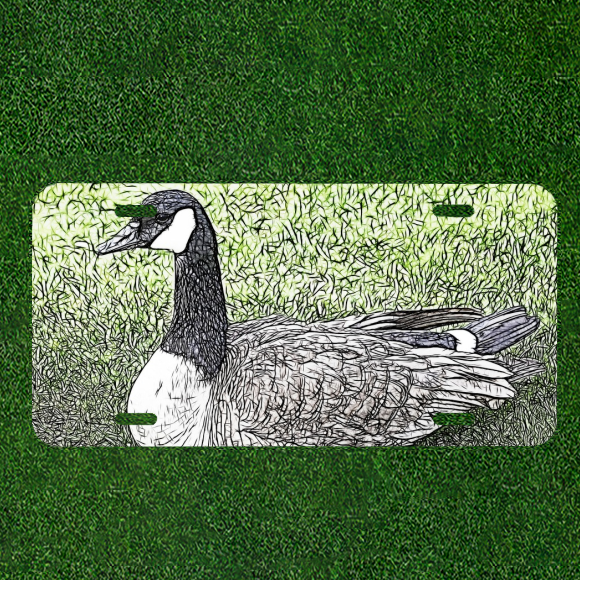 Custom Personalized Auto Tag With  Colorful Duck Quack Quack Design