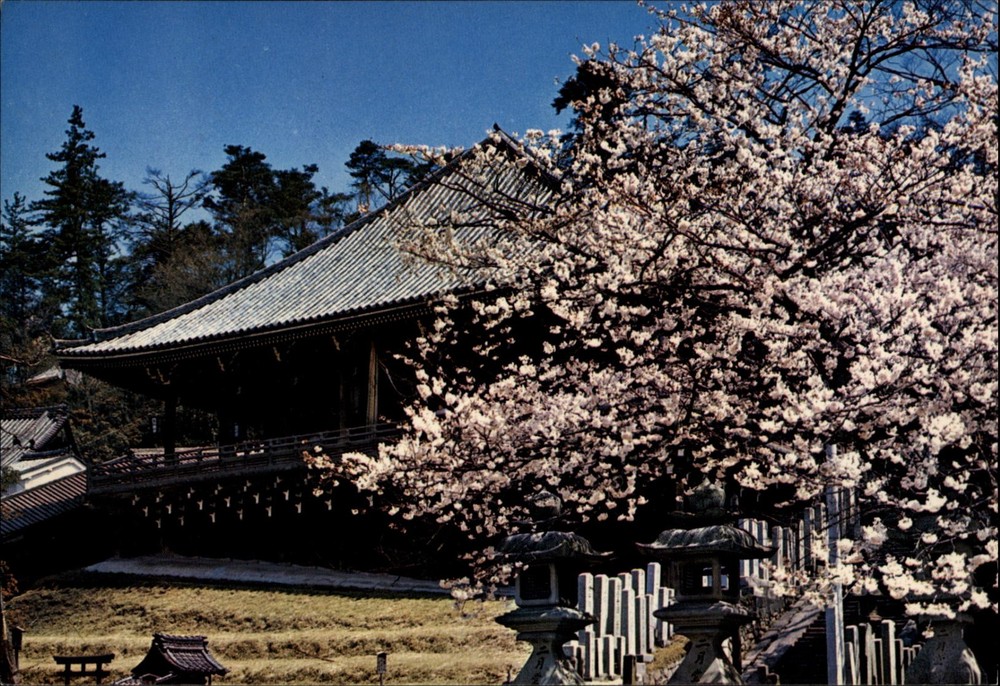 Todaiji Temple Nara Japan vintage postcard n385