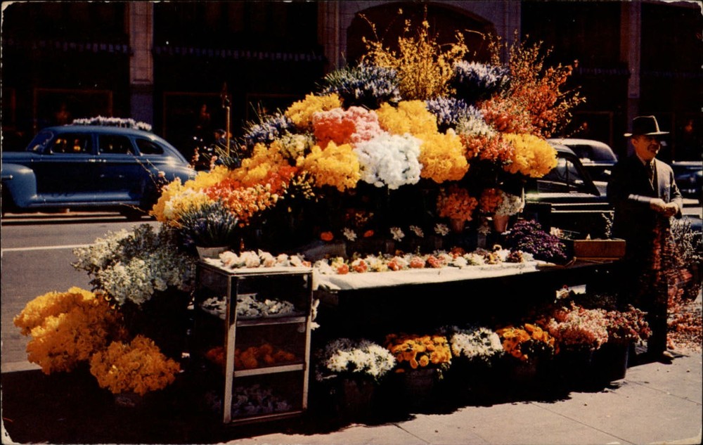 California San Francisco Flower Stand 1950s men's fashion ~ postcard sku627