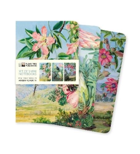 Kew Gardens' Marianne North Set of 3 Mini Notebooks (Notebook)Another great item from Rarewaves USA | Free delivery!