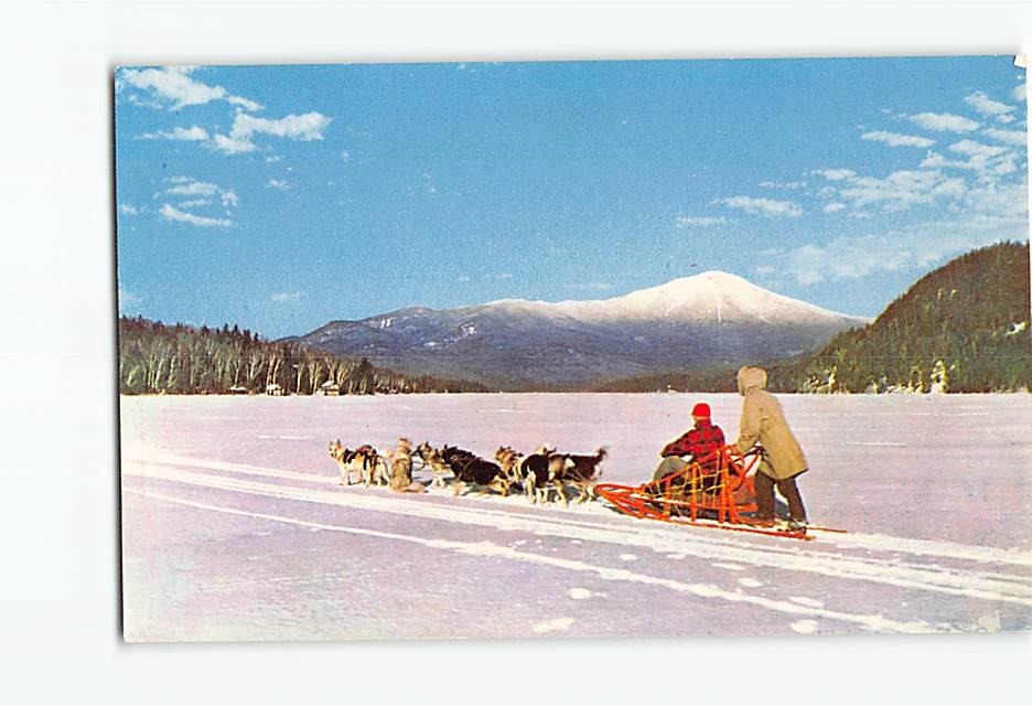 Postcard Dog Sled White Face Mountain Lake Placid New York USA