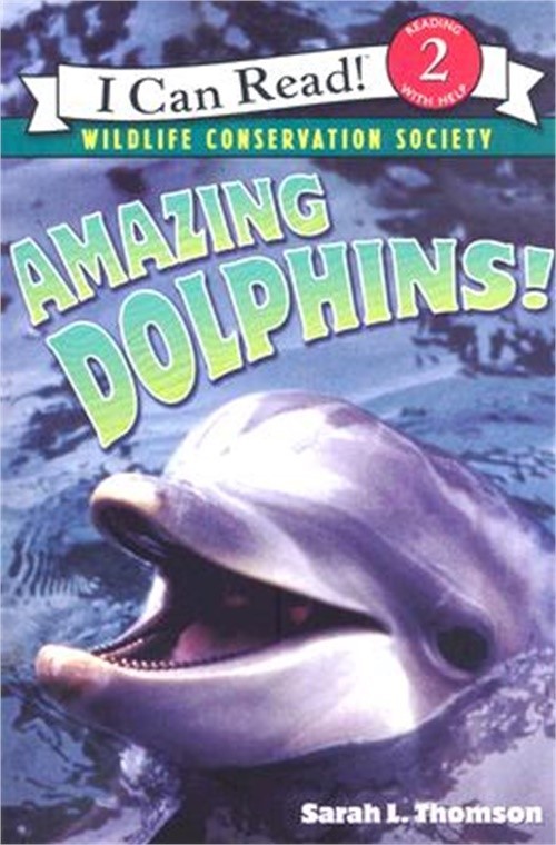 Amazing Dolphins! (Paperback or Softback)