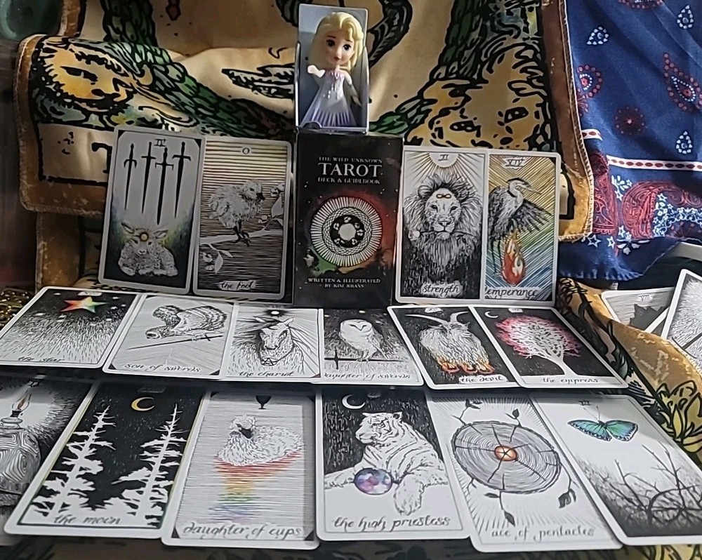 The Wild Unknown Tarot Set Missing Father of Wands Includes Pouch Stones and Bracelets