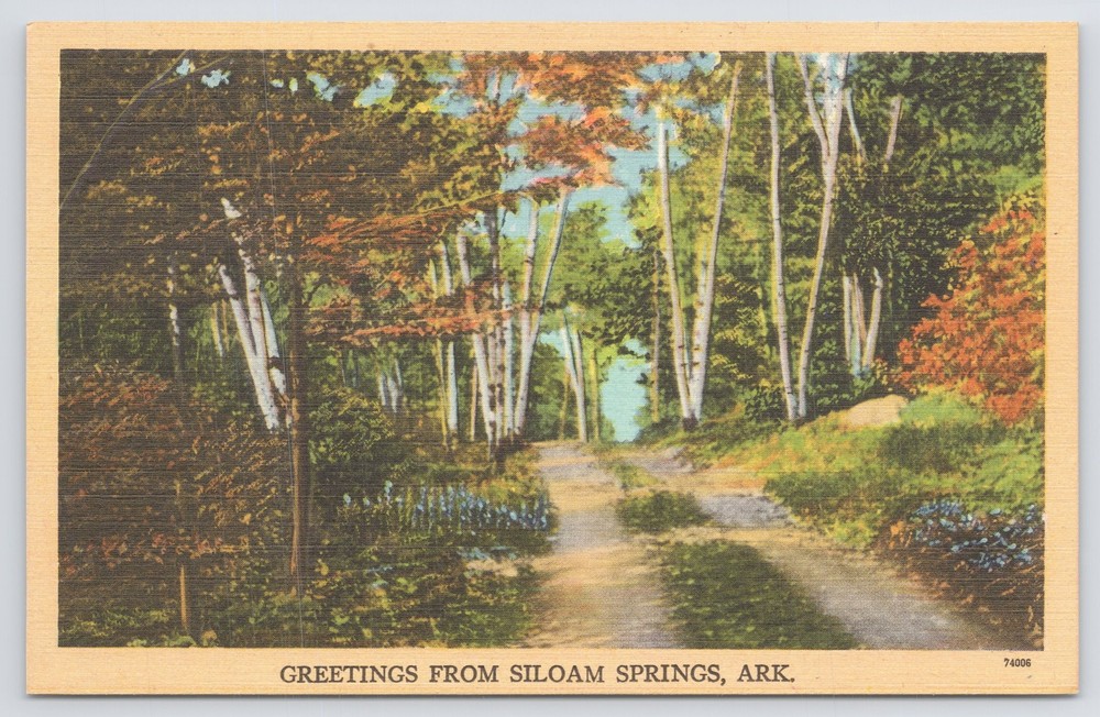Greetings From Siloam Springs AR~Scenic Country Road In Fall~Vintage Linen PC