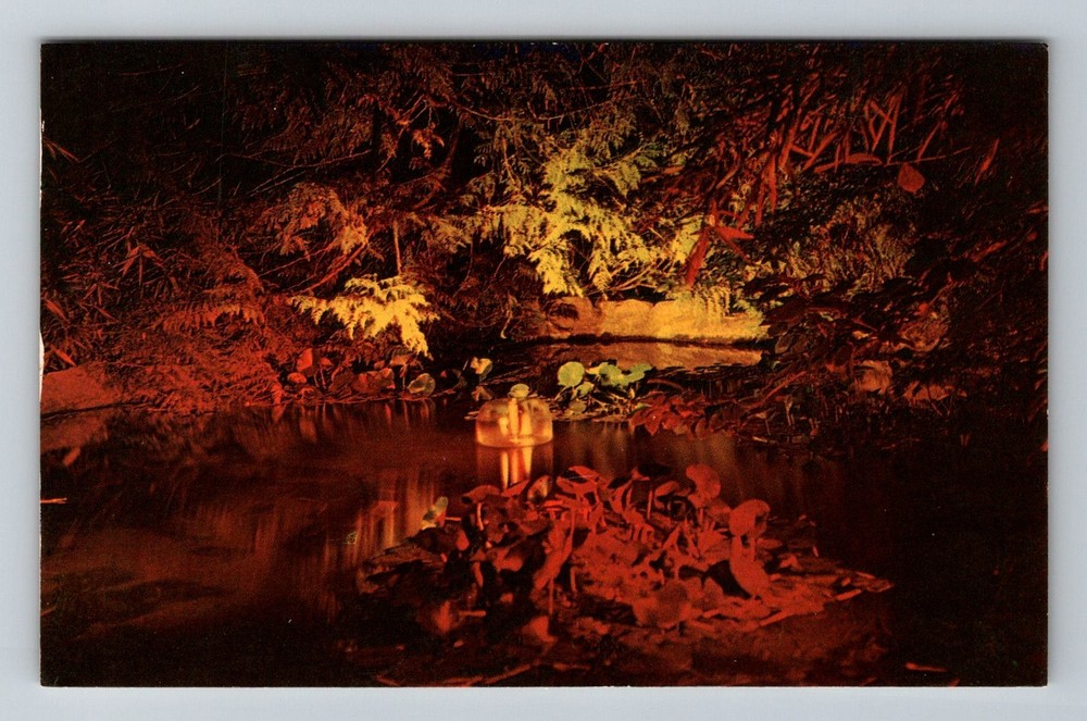 Canada- Victoria B.C Japanese Garden Illuminated Old Post View Vintage Postcard