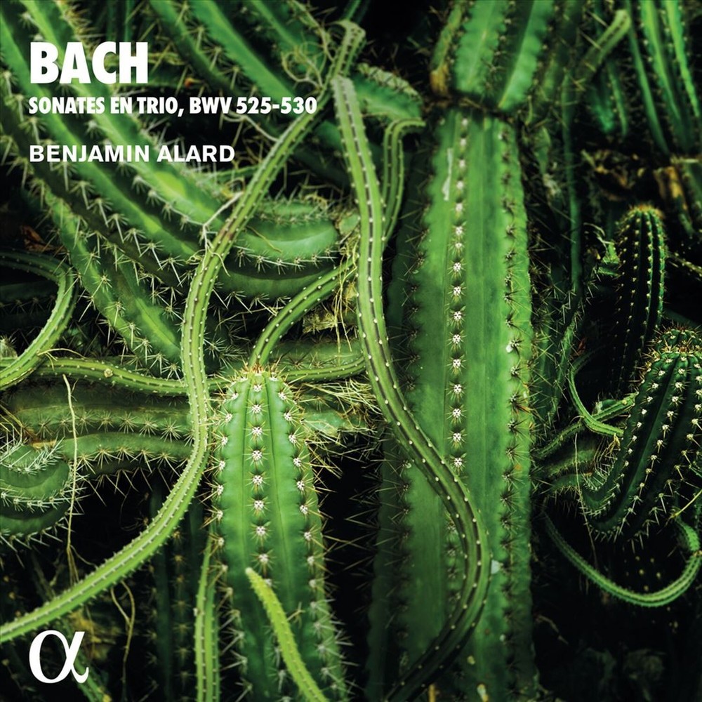 Benjamin Alard Bach: Sonates En Trio, Bwv 525-530 New Cd