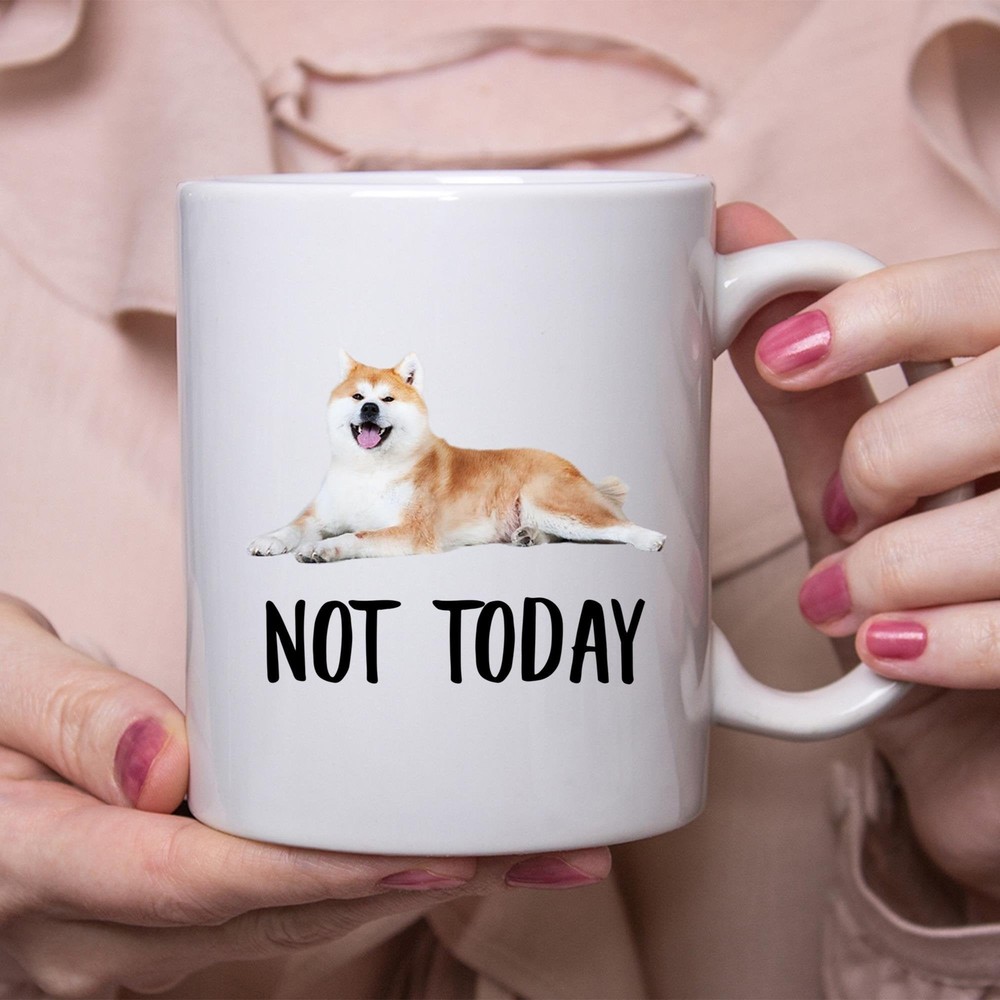 Funny Akita Red Fawn Not Today Dog Mug Lazy Gift For Women Dogs Mom Coffee Mug