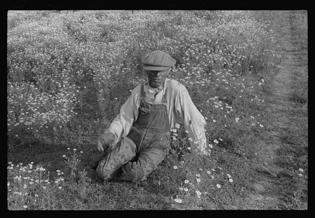 Photo:1930s Black Farmer in Daisy Field Overalls Cap Portrait