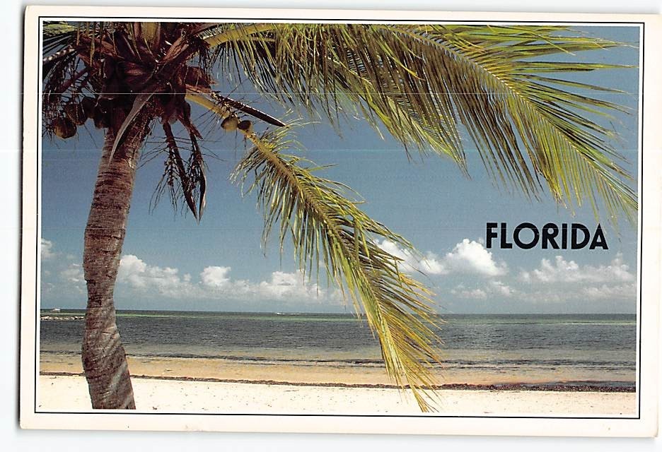 Postcard Tropical Paradise Florida USA