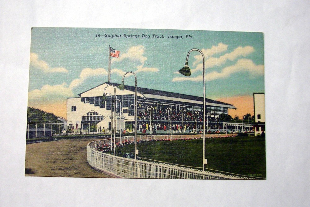 Vtg Linen Postcard 