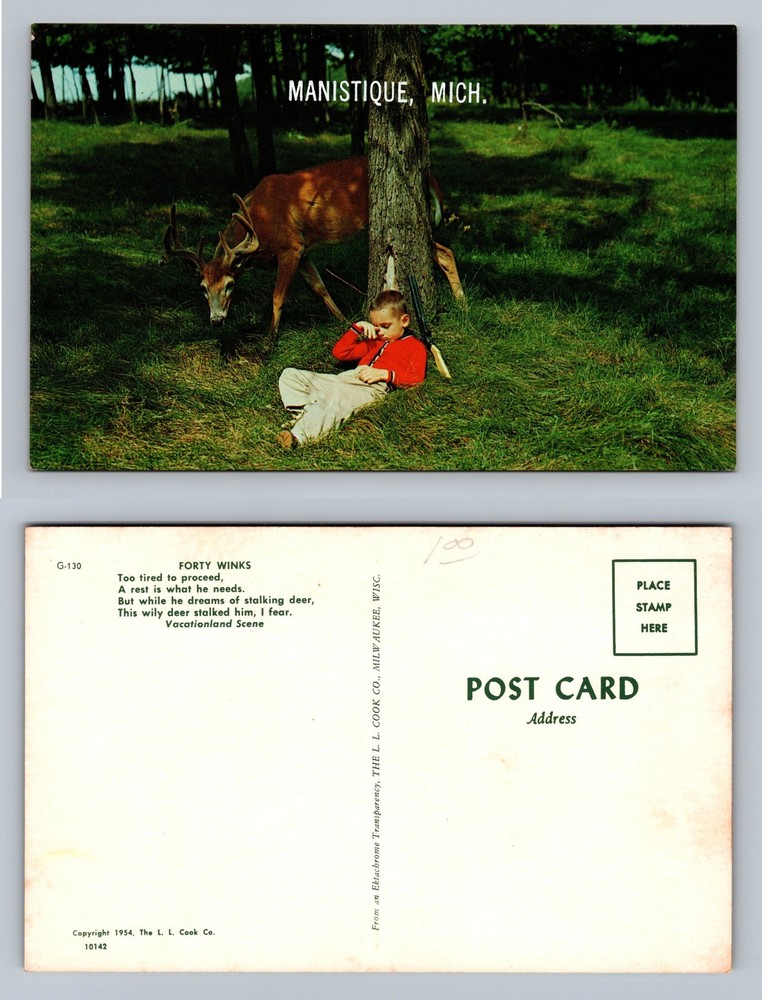 Manistique, MI-Michigan, Boy Sleeping by Deer Vacation Scene Vintage Postcard