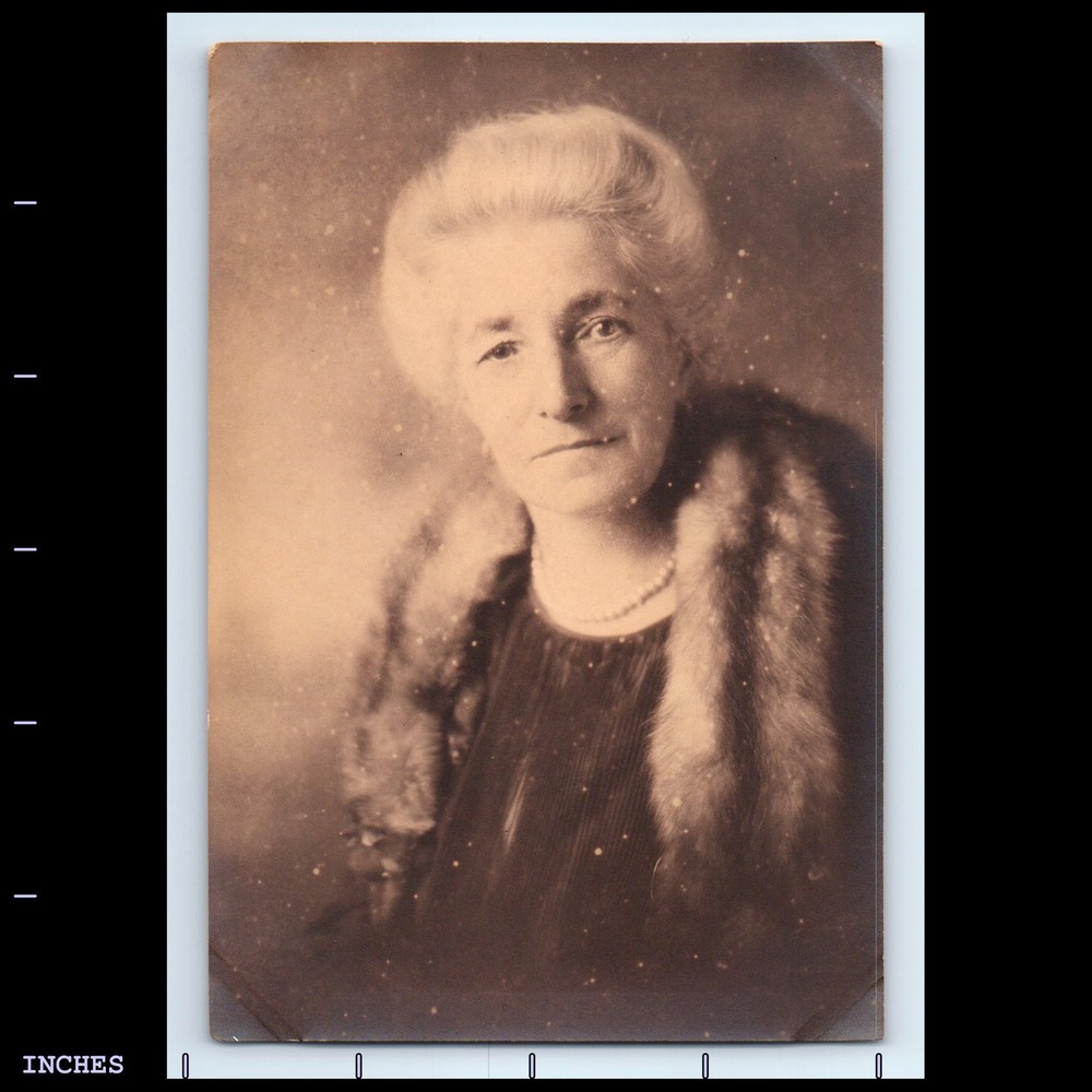Vintage Photo SOLO FORMAL WOMAN WITH FOX MINK FUR PORTRAIT