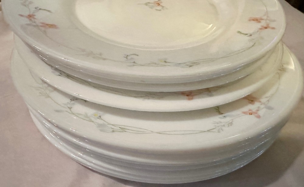 Arcopal Salad Plates France (Set of 12) Vitrelle EXCELLENT Pink Flowers 7-3/4