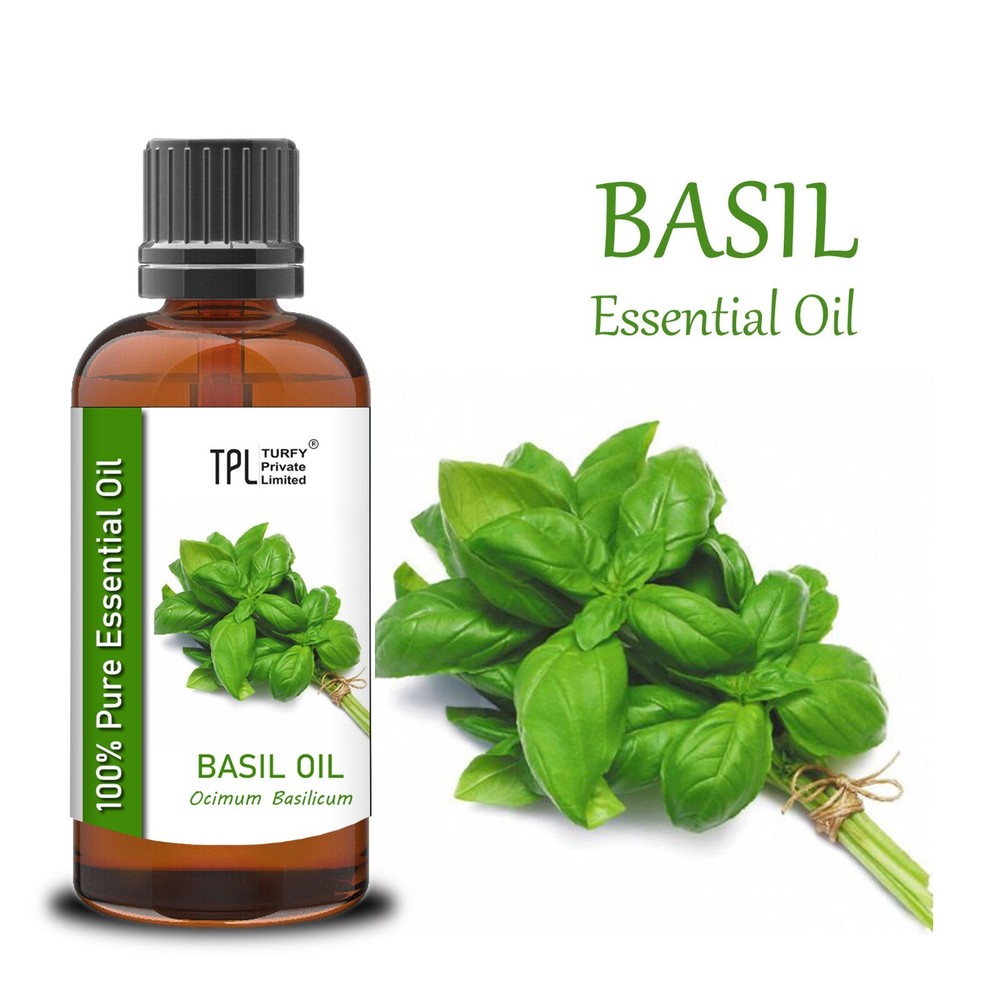 100% Pure Basil Essential Oil - 50ml Therapeutic Grade Natural Aromatherapy