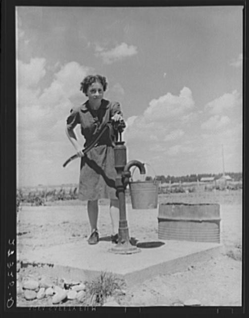 Fairfield Bench Farms,Teton County,Montana,Farm Security Administration,FSA,9
