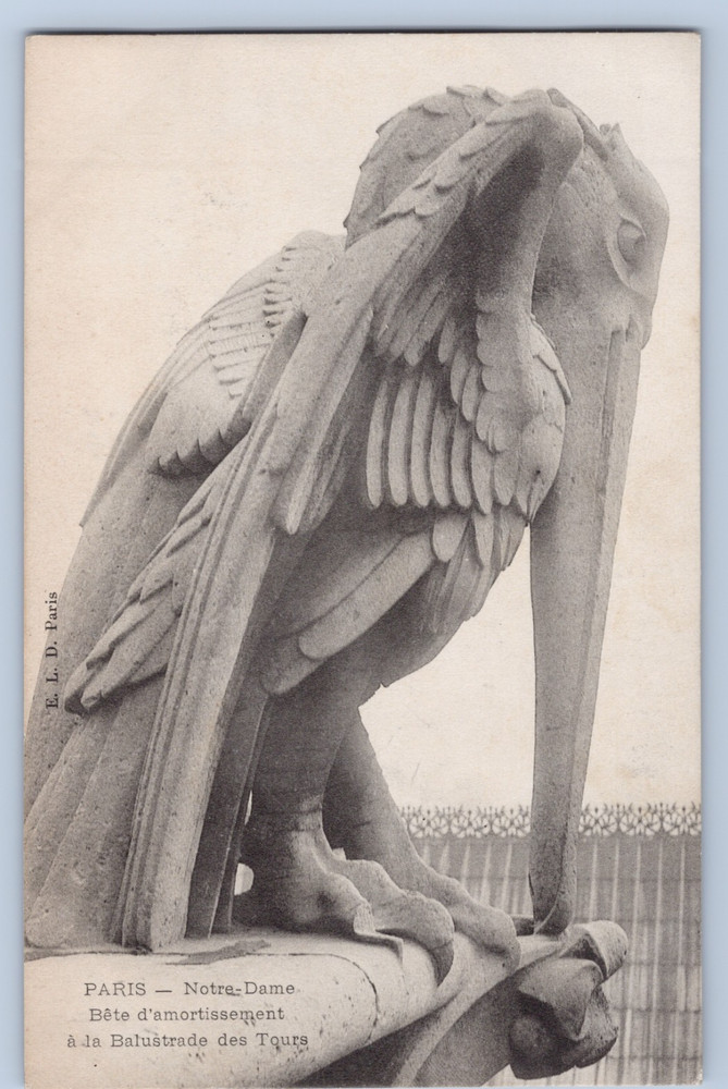 France Paris Notre Dame Cathedral Chimera Gargoyle Postcard