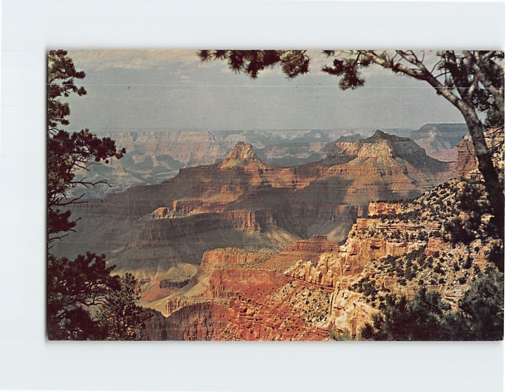 Postcard Grand Canyon National Park Arizona USA
