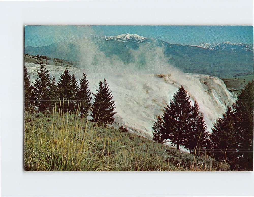 Postcard Mammoth Hot Springs & Terraces Yellowstone National Park Wyoming USA